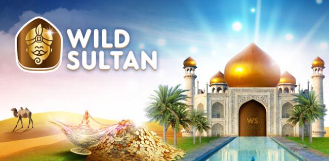 wild sultan avis